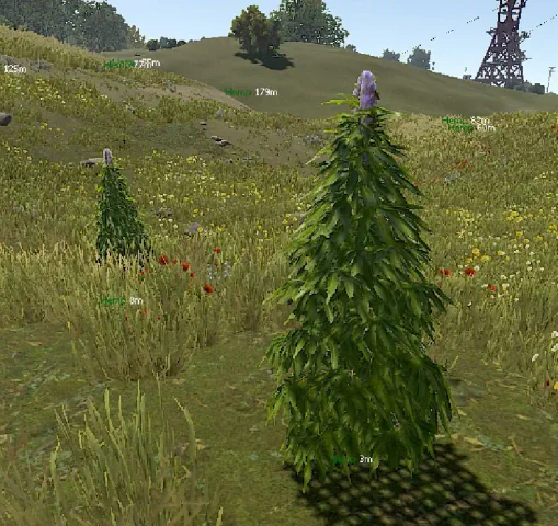 Elysian Rust DMA — Rust screenshot 1